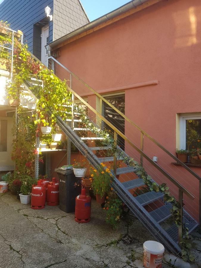 Pension Im Glueck Thale Exteriör bild